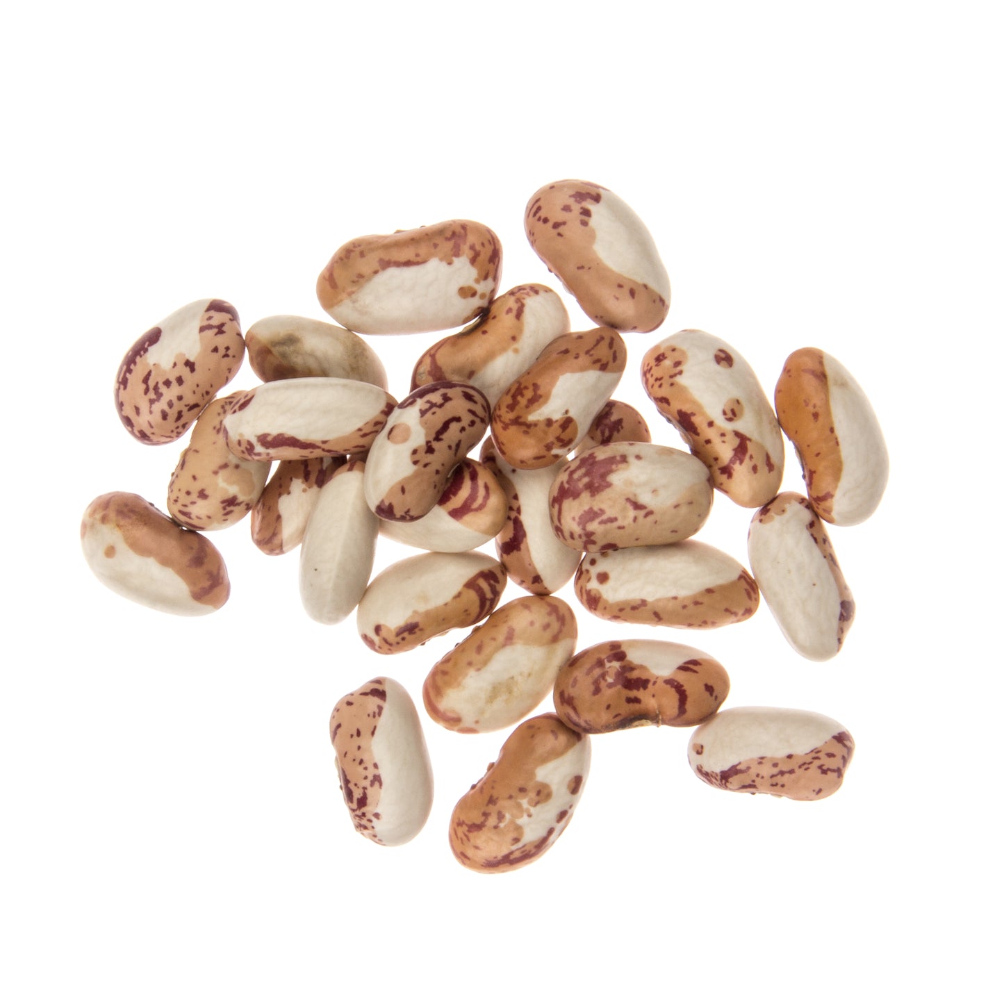 Snow Cap Bean Seed, Organic