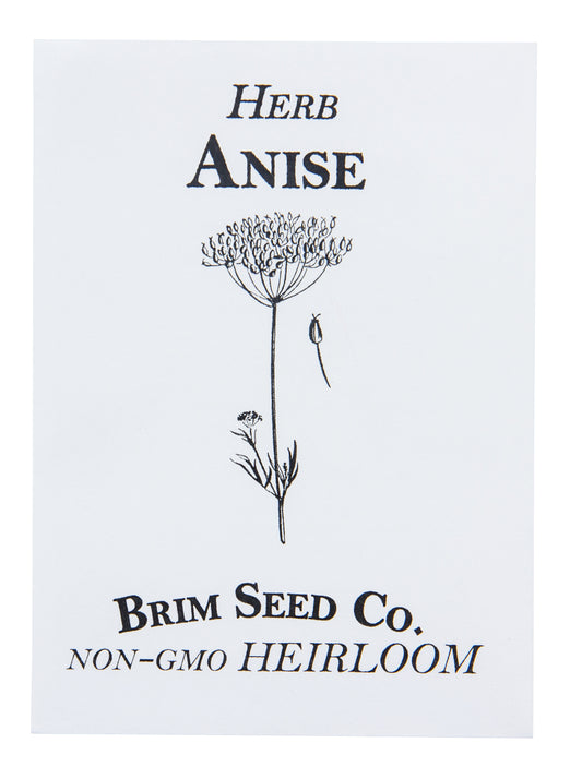 Herb, Anise Heirloom Seed