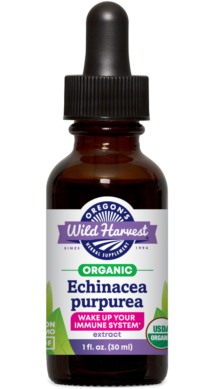 Echinacea Purpurea Extract, Organic