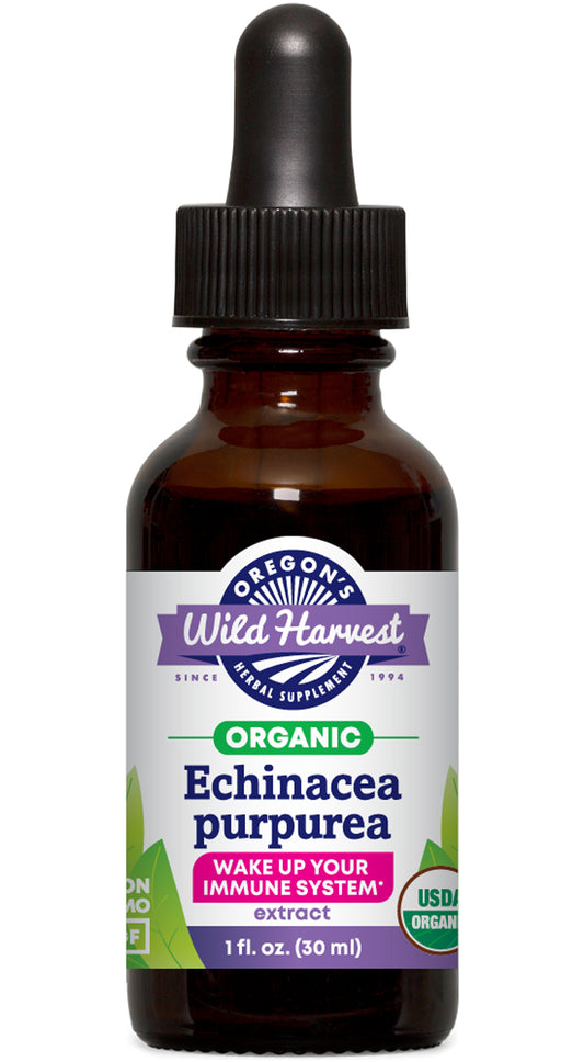 Echinacea Purpurea Extract, Organic