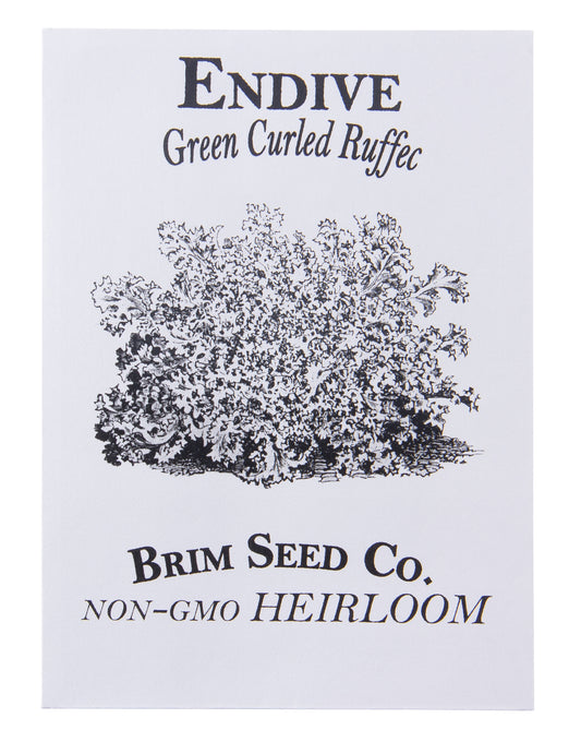 Endive, Green Curled Ruffec Heirloom Seed