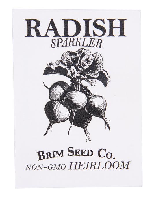 Radish, Sparkler White Tip Heirloom Seed