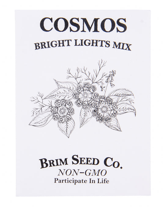 Flower, Cosmos Bright Lights Mix Seed