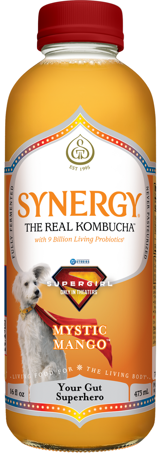 SYNERGY, Kombucha Raw, Mystic Mango