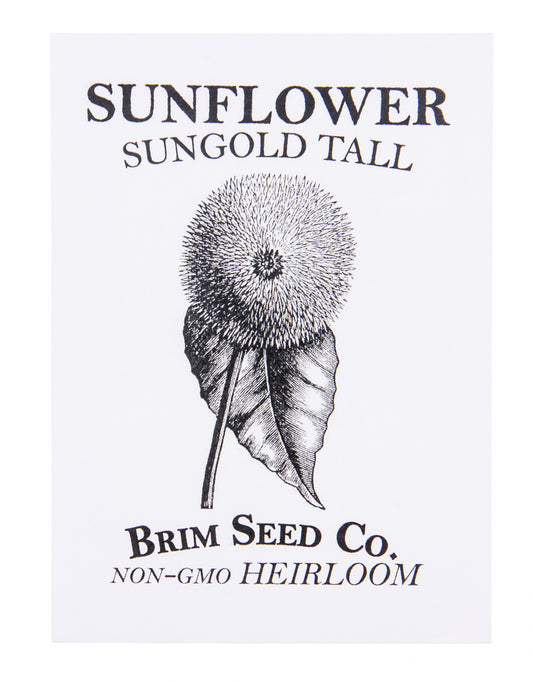 Flower, Sunflower Sungold Tall Heirloom Seed