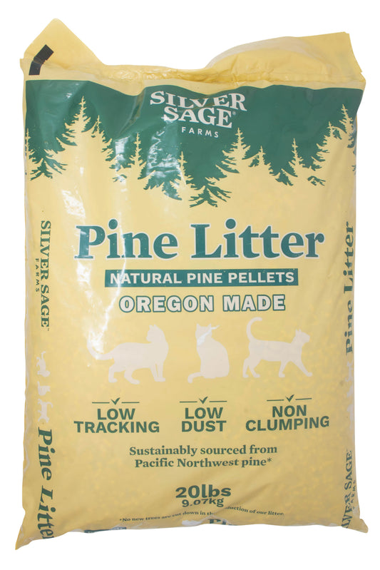 Pine Litter