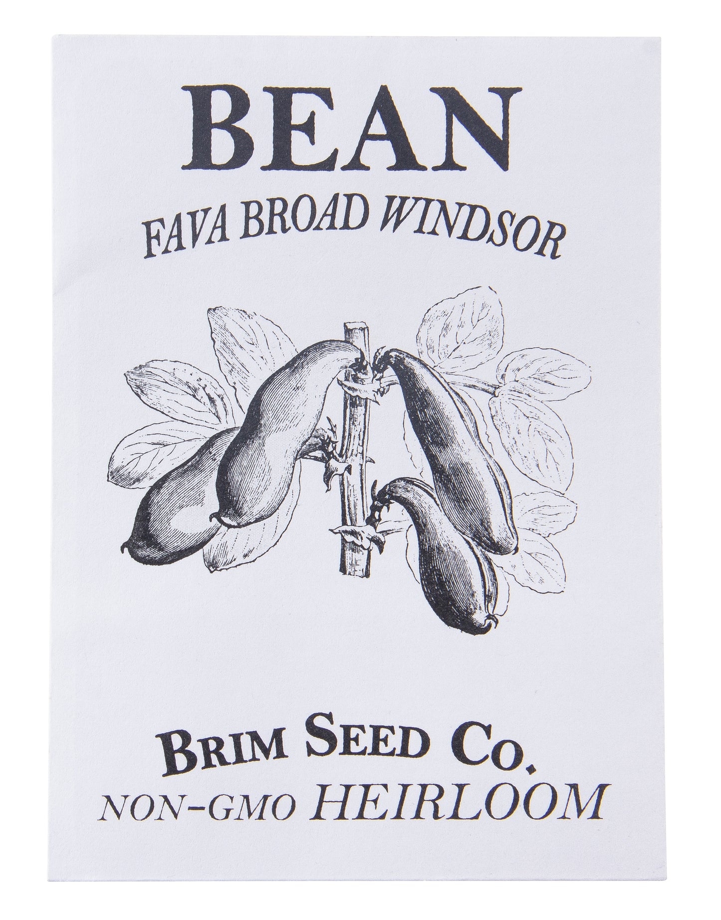 Bean, Fava Broad Windsor Heirloom Seed