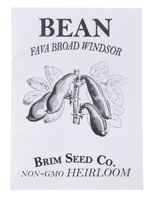 Bean, Fava Broad Windsor Heirloom Seed