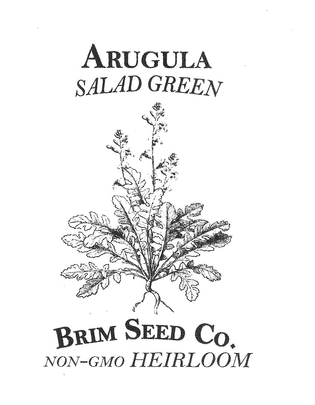 Salad Green, Arugula, Heirloom Seed
