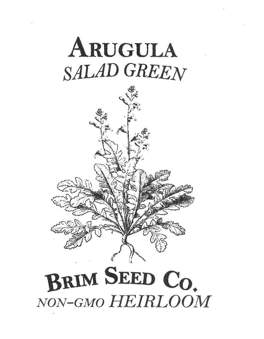 Salad Green, Arugula, Heirloom Seed