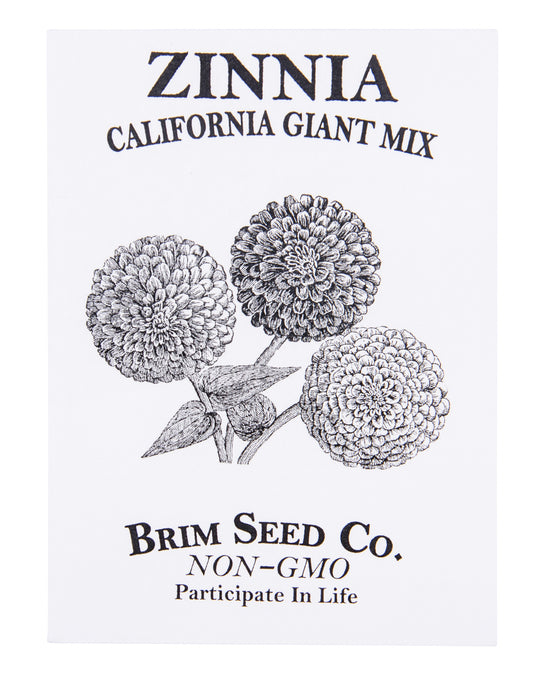 Flower, Zinnia California Giant Mix Seed