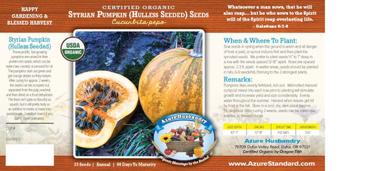 Styrian Pumpkin (Hulless Seeded) Seed, Organic