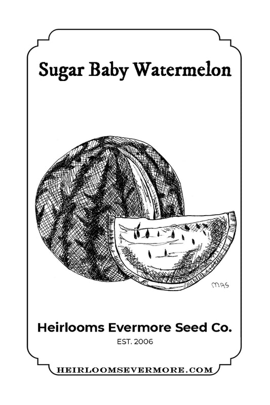Sugar Baby Watermelon