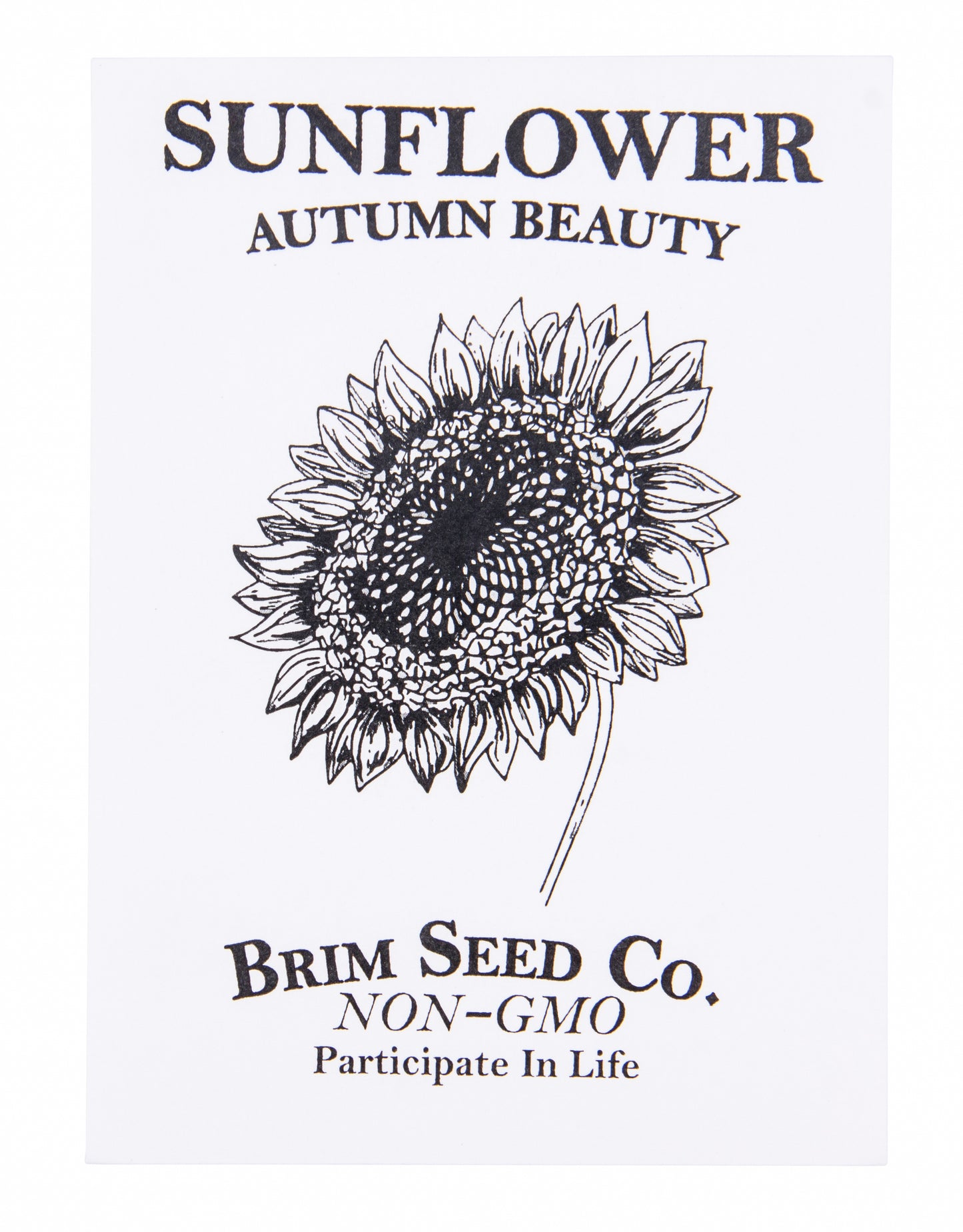 Flower, Sunflower Autumn Beauty Seed