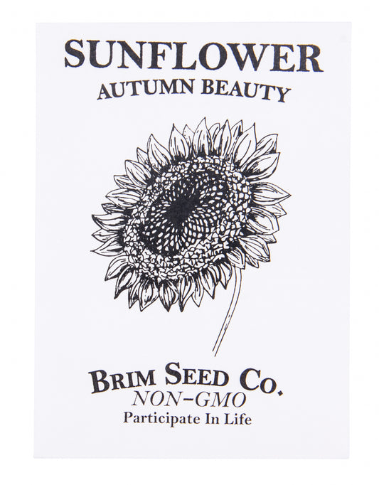 Flower, Sunflower Autumn Beauty Seed