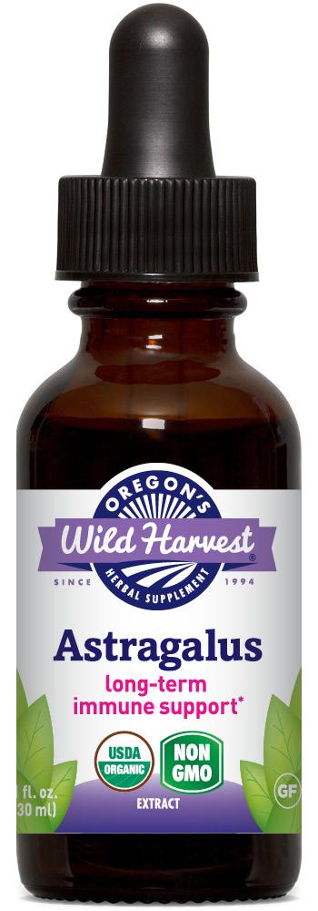 Astragalus Extract, Organic