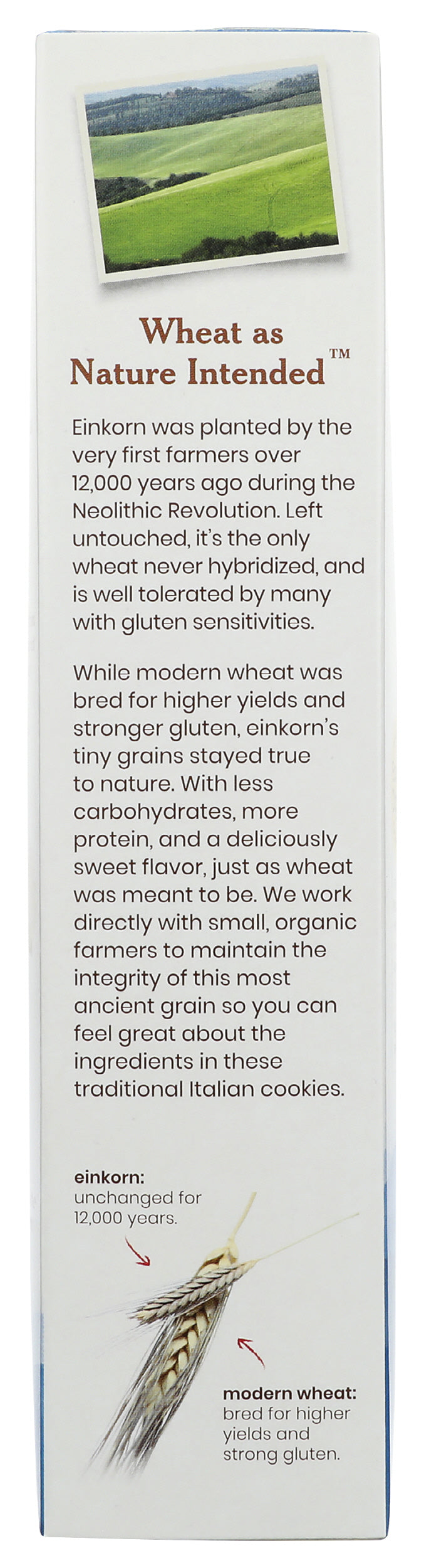 Cookies, Einkorn, Checkerboard, Organic