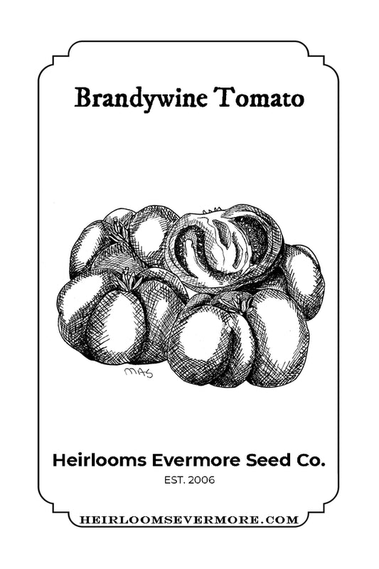 Brandywine Tomato Seeds