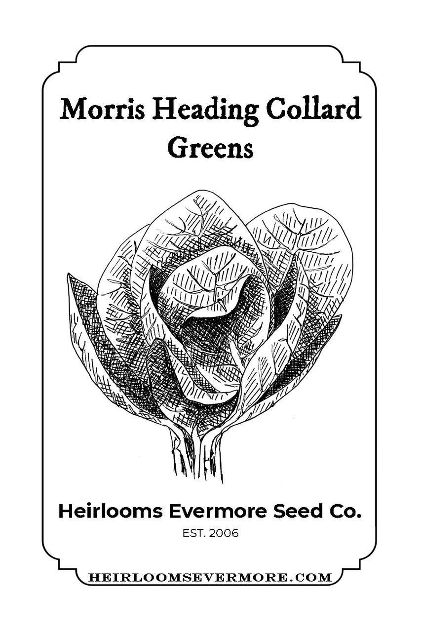 Morris Heading Collard Greens