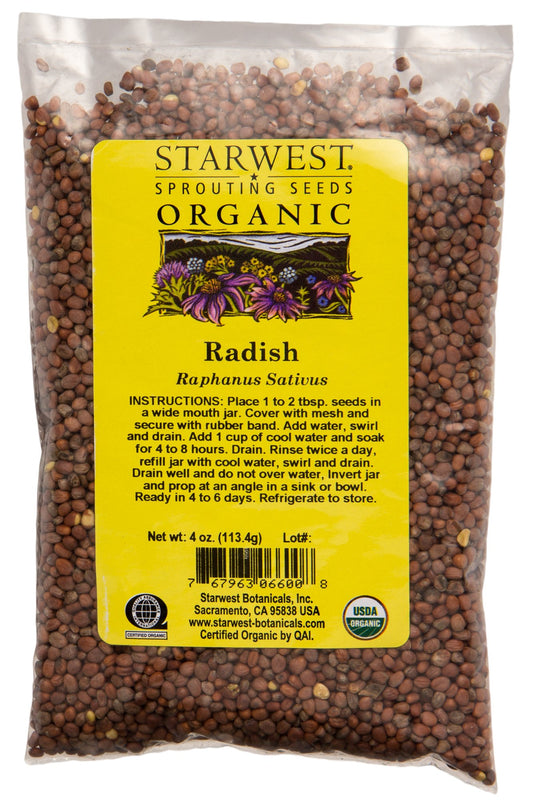 Radish Sprouting Seeds, Organic