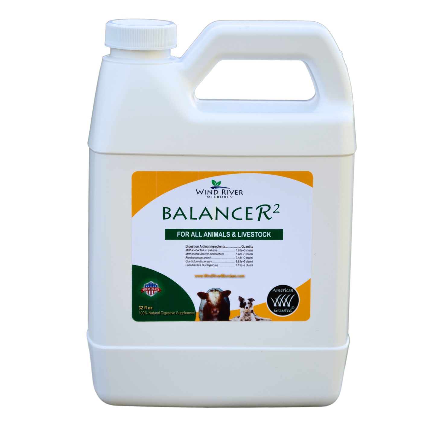 BalanceR2
