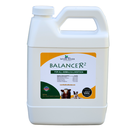 BalanceR2