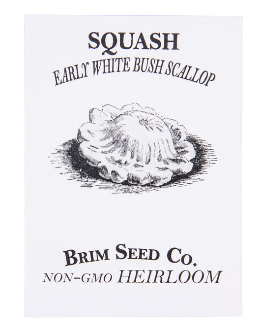 Squash, Early White Bush Scallop Heirloom Seed