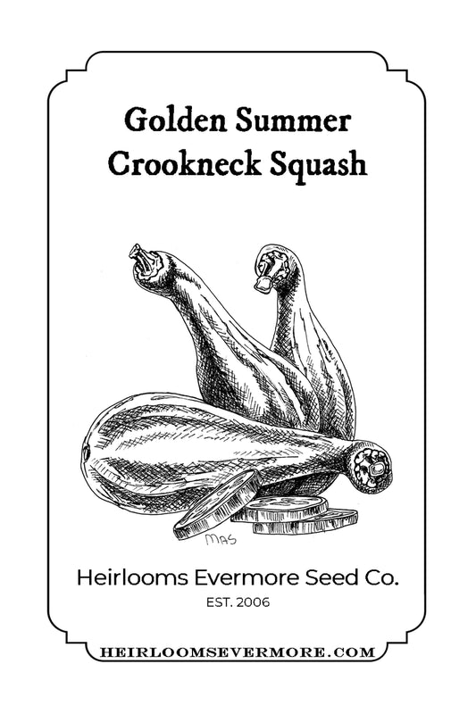 Golden Summer Crookneck Squash Seeds