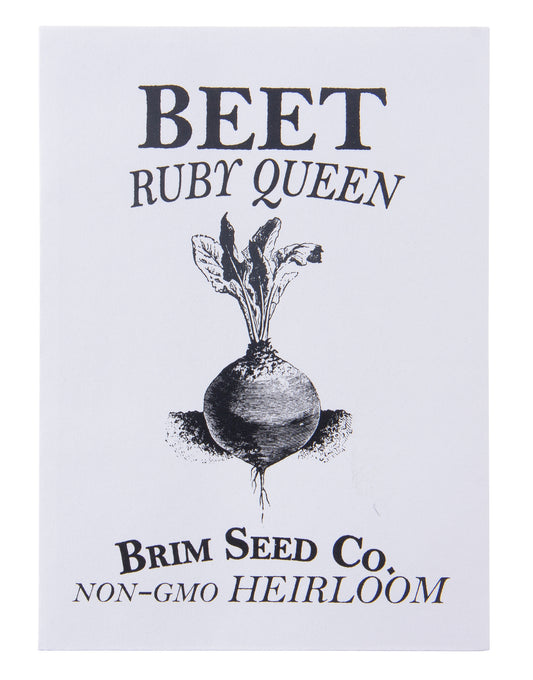 Beet, Ruby Queen Heirloom Seed