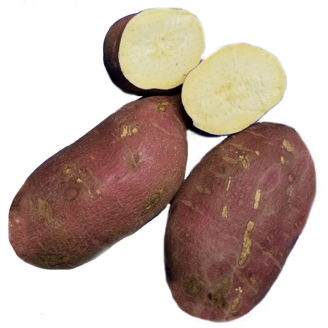 Japanese Sweet Potato, Organic