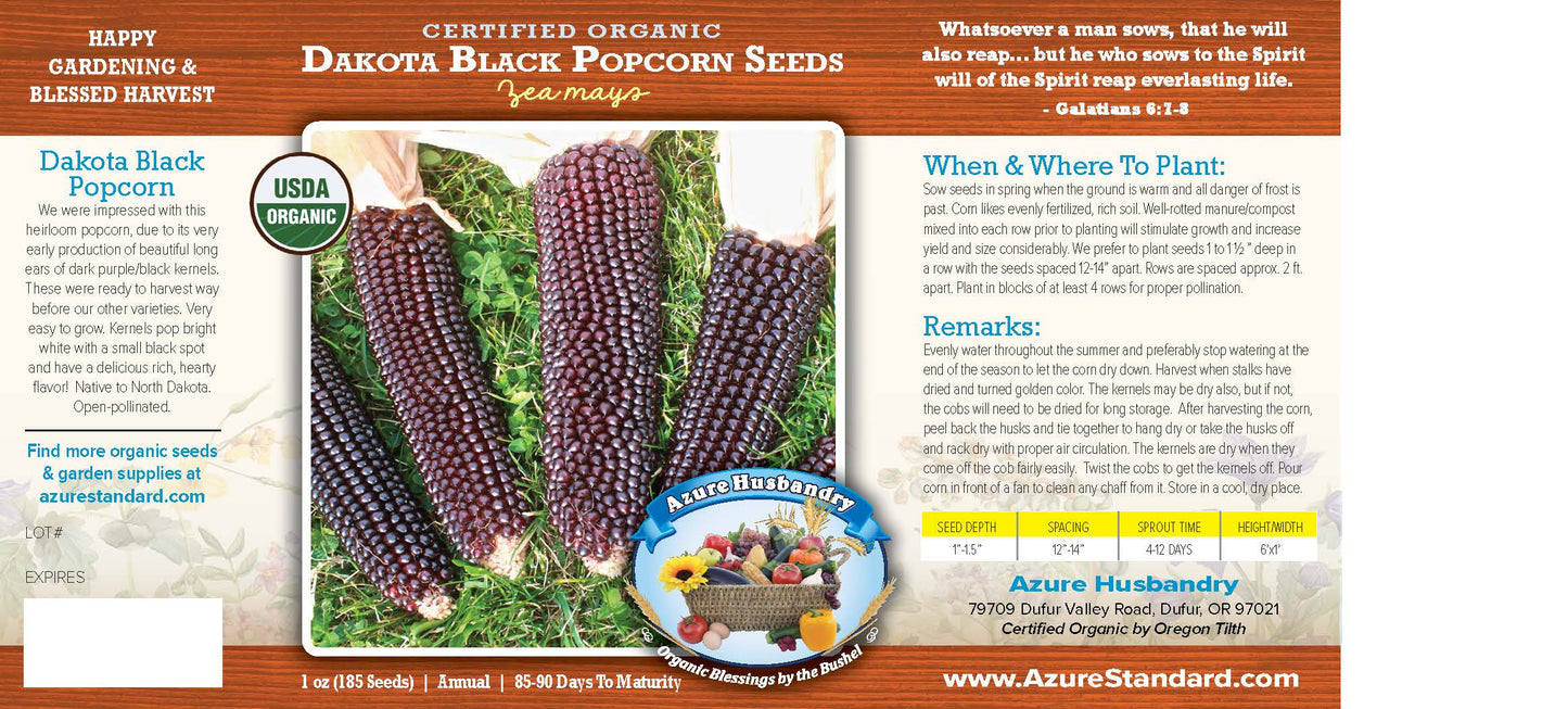 Dakota Black Popcorn Seed, Organic