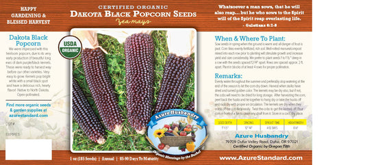 Dakota Black Popcorn Seed, Organic