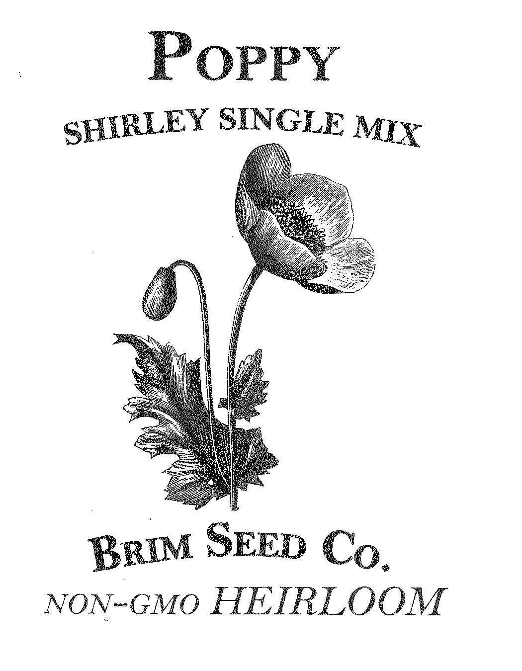 Flower, Poppy, Shirley Single Mix, Heirloom Seed