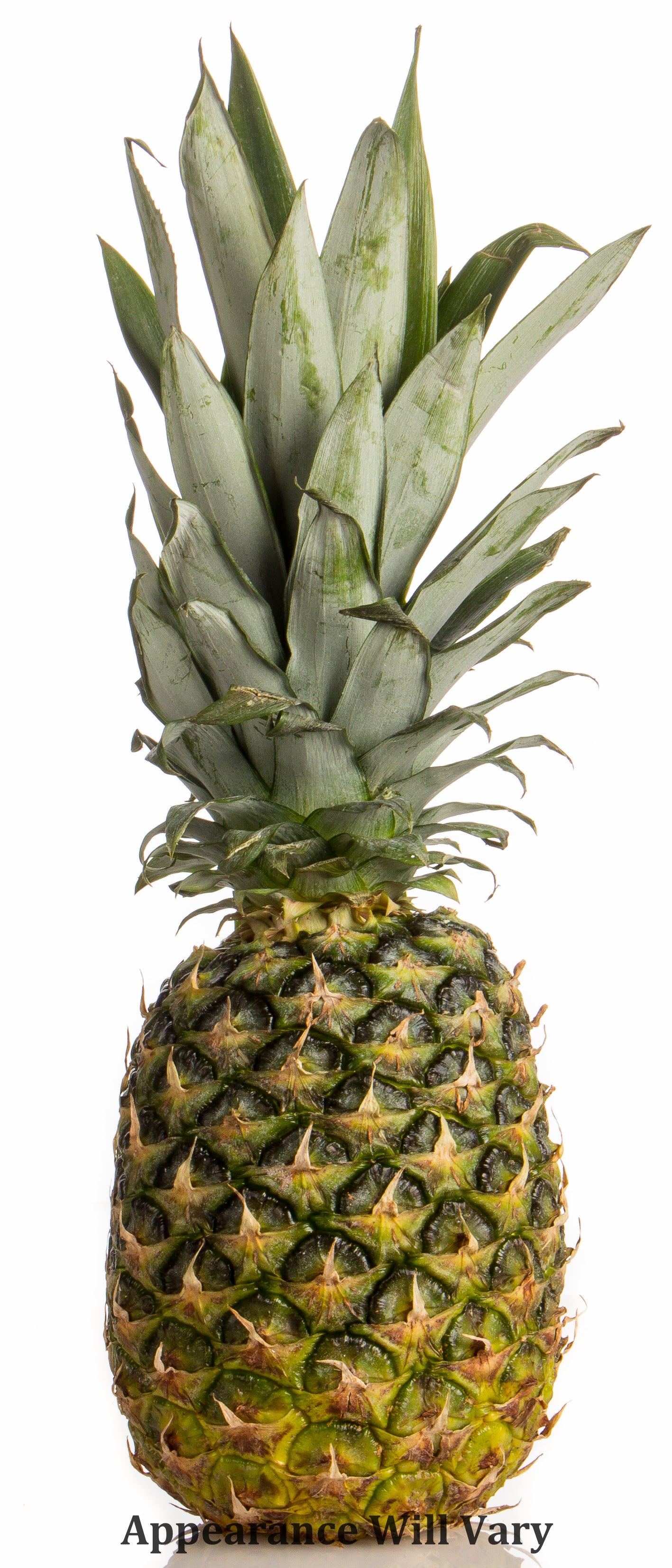 Pineapple, Organic