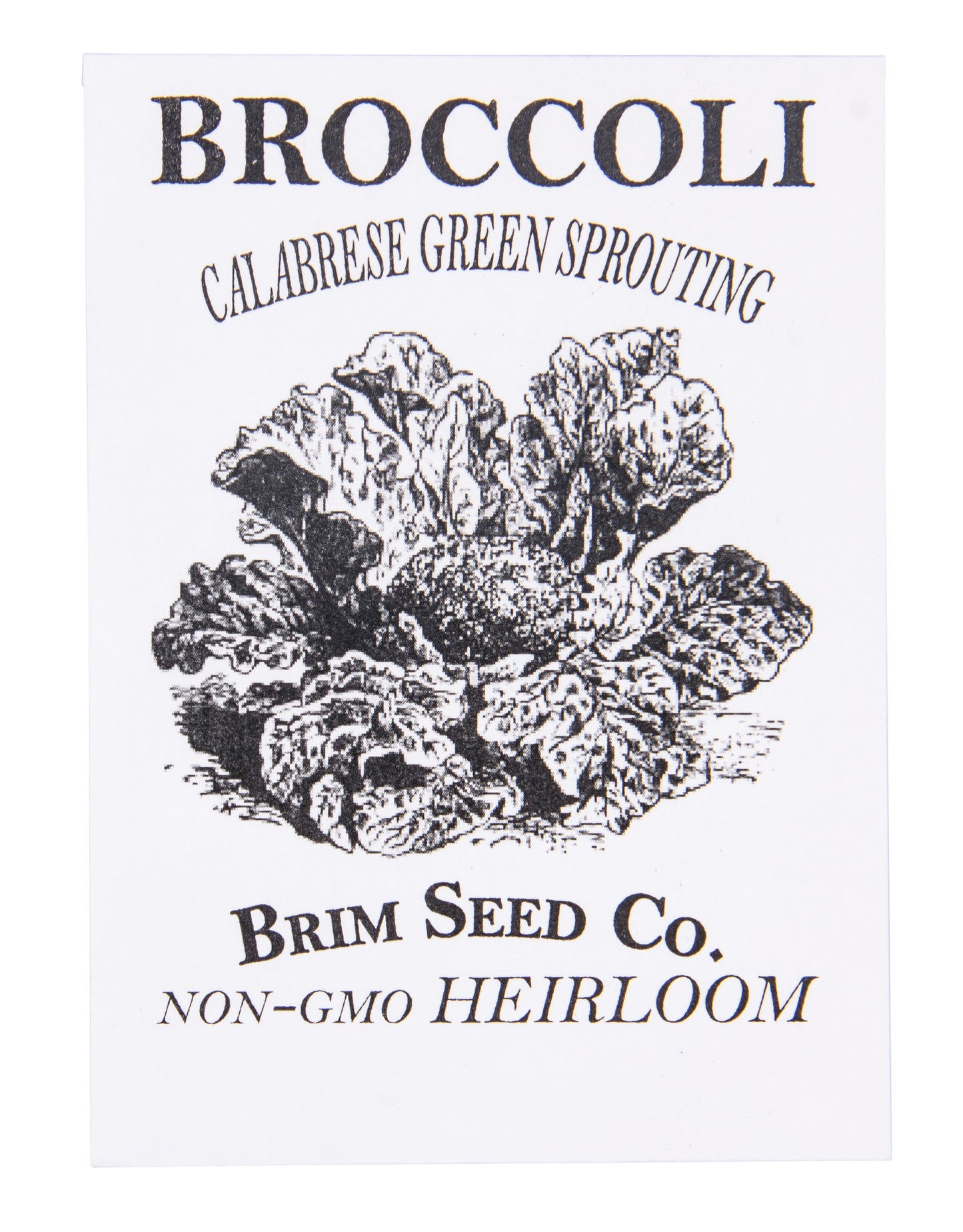 Broccoli, Green Sprouting Calabrese Heirloom Seed
