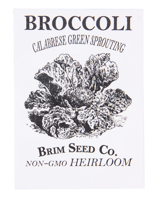 Broccoli, Green Sprouting Calabrese Heirloom Seed