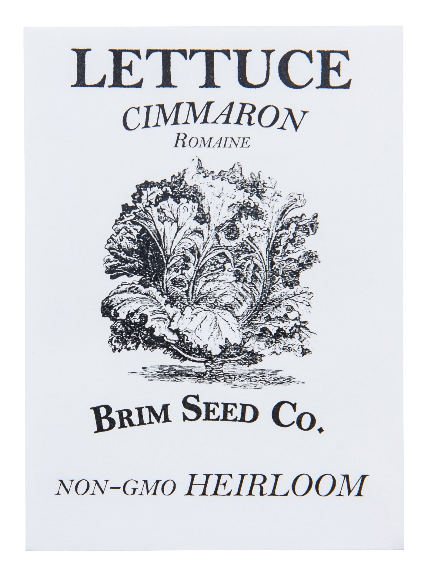 Lettuce, Romaine Cimmaron Heirloom Seed