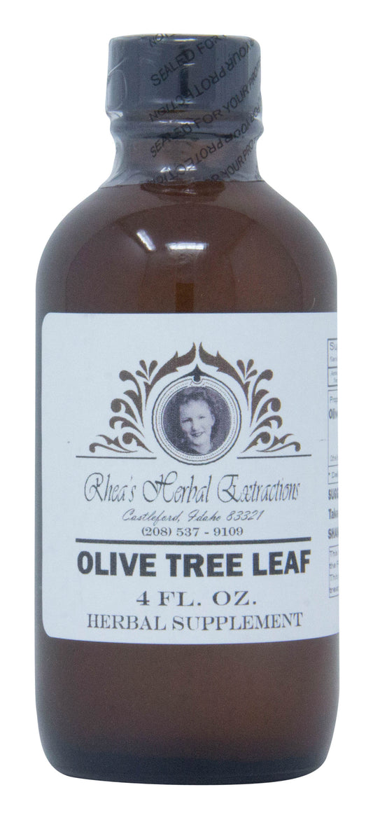 Olive Tree Leaf
