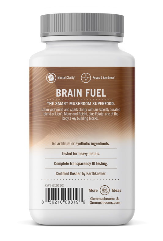 Brain Fuel, Mushroom Superfood