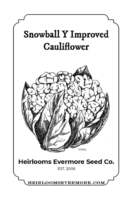 Cauliflower Seeds, Snowball Y Improved