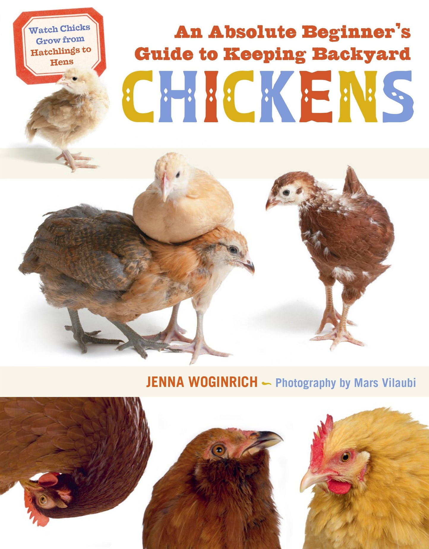 An Absolute Beginners Guide to Keeping Backyard Chickens