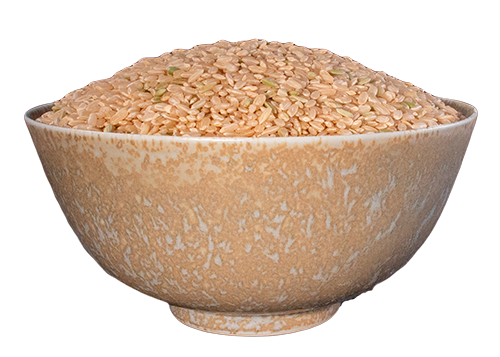Rice, Sprouted, Medium Grain Brown
