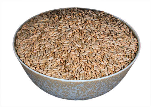 Rye Berries