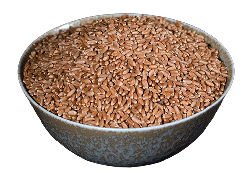 Wheat Berries, Hard Red