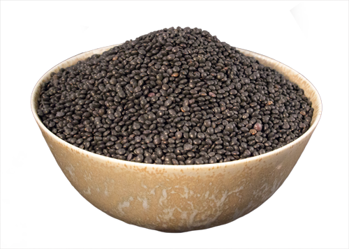 Lentil, Black